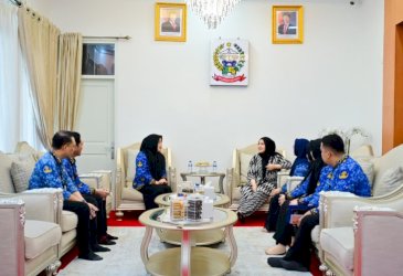 Pemprov Sulsel dan BKKBN Perkuat Sinergi Percepat Penurunan Stunting