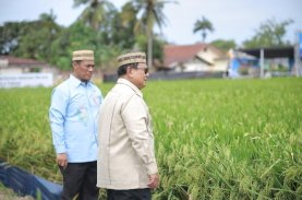 Presiden Prabowo Subianto Pastikan Swasembada Pangan Berkelanjutan