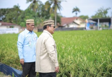 Presiden Prabowo Subianto Pastikan Swasembada Pangan Berkelanjutan