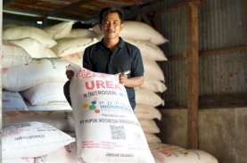 Pupuk Subsidi Aman, Produksi Beras Indonesia Naik di Tengah Ancaman Krisis Pangan Global