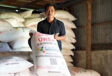Pupuk Subsidi Aman, Produksi Beras Indonesia Naik di Tengah Ancaman Krisis Pangan Global