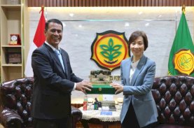 Andi Amran Sulaiman Tawarkan Ekspor 10 Ribu Ton Beras ke Singapura