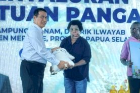 Masyarakat Kampung Wanam Minta Cetak Sawah Ditambah, Andi Amran Sulaiman: Ini Aspirasi Rakyat Papua