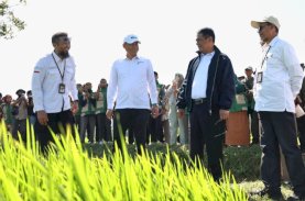 Andi Amran Sulaiman Kenalkan PM-AAS di NTB, Bidik Indonesia Jadi Eksportir Beras