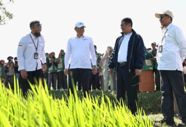 Andi Amran Sulaiman Kenalkan PM-AAS di NTB, Bidik Indonesia Jadi Eksportir Beras