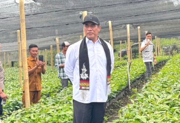 Andi Amran Sulaiman Bidik Ekspor Kopi Indonesia Tembus Rp100 Triliun