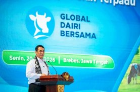 Andi Amran Sulaiman: Selama Peternak Bisa Produksi Susu, Kami Tidak akan Impor