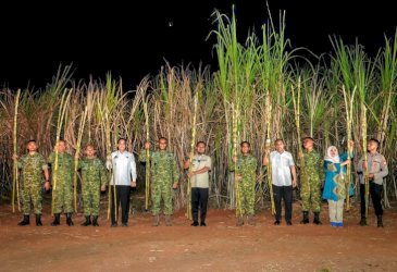 Andi Sudirman Sulaiman Panen Raya Tebu Bersama TNI, Tegaskan Dukungan Program Presiden Prabowo