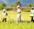 Andi Sudirman Sulaiman Tinjau Progres Paket 3 MYP Rehabilitasi DI Leang Londrong Pangkep
