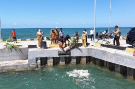 Rumpon Dasar Mini Hadir di Kolam Labuh Bentenge Bulukumba, Perkuat Ekosistem Laut dan Edukasi Perikanan Berkelanjutan