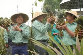 Perkuat Generasi Penggerak Keberlanjutan di Lutim, Vale Luncurkan Kelas Konservasi