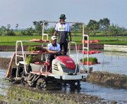 Jalan Menuju Swasembada Pangan Dimulai dari Petani