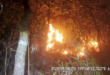 Andi Sudirman Sulaiman Ajak Masyarakat Bersama-sama Cegah Kebakaran Hutan dan Lahan