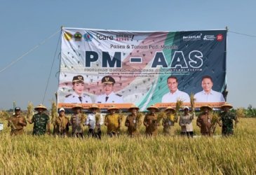 Produktivitas Padi Tembus 10,43 Ton Per Ha, PM-AAS Buktikan Modernisasi Pertanian Tingkatkan Hasil Panen