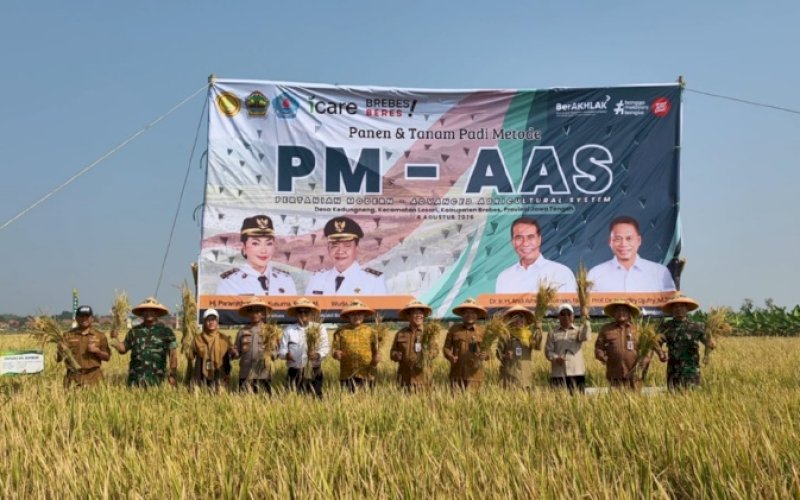 Ilustrasi. foto: istimewa