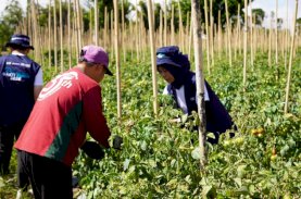 Pelindo Semai Harapan di Langowan Melalui Relawan Bakti BUMN Batch IX