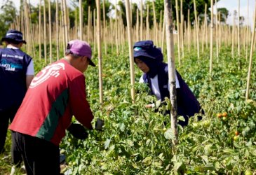 Pelindo Semai Harapan di Langowan Melalui Relawan Bakti BUMN Batch IX