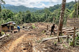 Provokator Berkedok APL Siap-siap Diproses, KPH Larona Tempuh Jalur Hukum Hadapi Mafia Perambahan