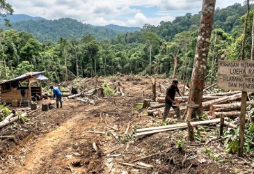 Provokator Berkedok APL Siap-siap Diproses, KPH Larona Tempuh Jalur Hukum Hadapi Mafia Perambahan