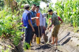 Uji Nurdin Bersama Masyarakat Bersihkan Irigasi Biangloe