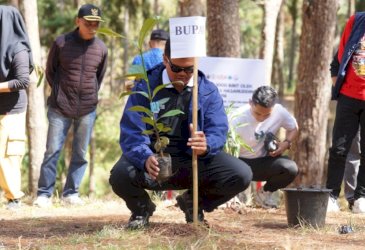 Pelepasan KKN, Uji Nurdin Bersama Forkopimda dan Mahasiswa Unhas Tanam 3 Ribu Bibit Pohon