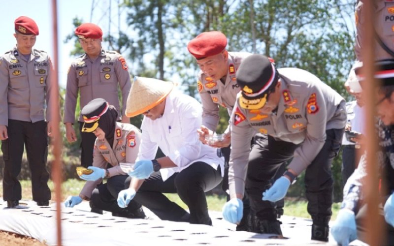 PENANAMAN. Kapolda Sulsel Irjen Pol Djuhandhani Rahardjo Puro bersama, Bupati Bantaeng M Fathul Fauzy Nurdin menggelar penanaman bawang putih serentak di Desa Bonto Marannu, Kecamatan Uluere, Bantaeng, Rabu (19/8/2026). foto: istimewa