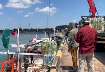 Apartemen Ikan Mulai Diturunkan di Dasar Laut, Pemkab Bulukumba Bangun Habitat Ikan Dekat Pantai