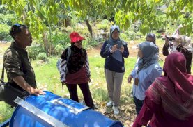 Dosen Malaysia Apresiasi KWT Asal Mula Makassar Kelola Sampah Organik untuk Urban Farming