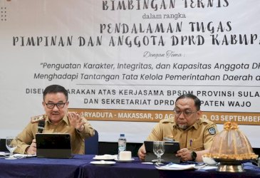 Sekda Sulsel Dorong Sinkronisasi Perencanaan Pembangunan 2027 dengan Wajo