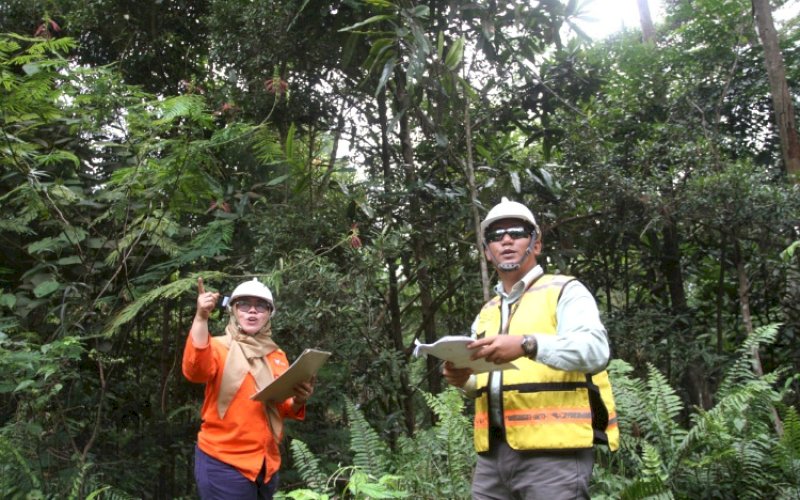 PENGHIJAUAN. Petugas mendata pertumbuhan pohon di lokasi bekas tambang PT Vale Indonesia Tbk yang telah dihijaukan kembali di Sorowako, Kabupaten Luwu Timur, Sulsel. foto: pluzid 