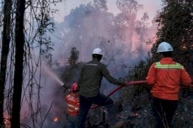 Gakkum Kehutanan Sulawesi Tegaskan Petani Wajib Patuh Aturan Penggunaan Kawasan Hutan