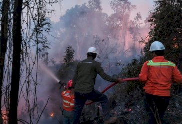 Gakkum Kehutanan Sulawesi Tegaskan Petani Wajib Patuh Aturan Penggunaan Kawasan Hutan