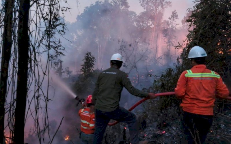 Ilustrasi. foto: istimewa