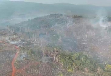 Praperadilan Ditolak, Ali Kamri Nawir Diduga Jadi Otak di Balik Karhutla dan Perambahan Loeha Raya