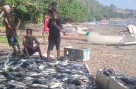 Nelayan di Kupa Barru Panen Ikan Senilai Rp200 Juta Berkat Apartemen Ikan Andi Sudirman Sulaiman