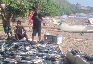 Nelayan di Kupa Barru Panen Ikan Senilai Rp200 Juta Berkat Apartemen Ikan Andi Sudirman Sulaiman